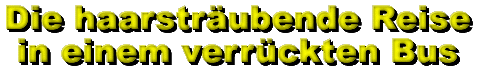 Die haarstr&auml;ubende Reise in einem verr&uuml;ckten Bus